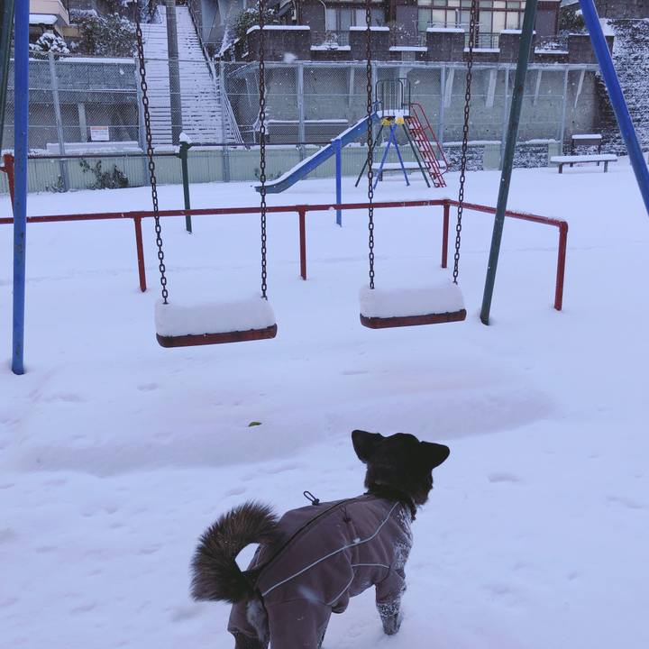 140c198d 54c5 4426 9cc9 2122e80955fb 1610168132777