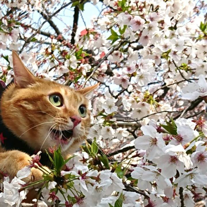 140c35be d6d4 4cbe bd14 fa3ffe8bc7d6 1554552064519