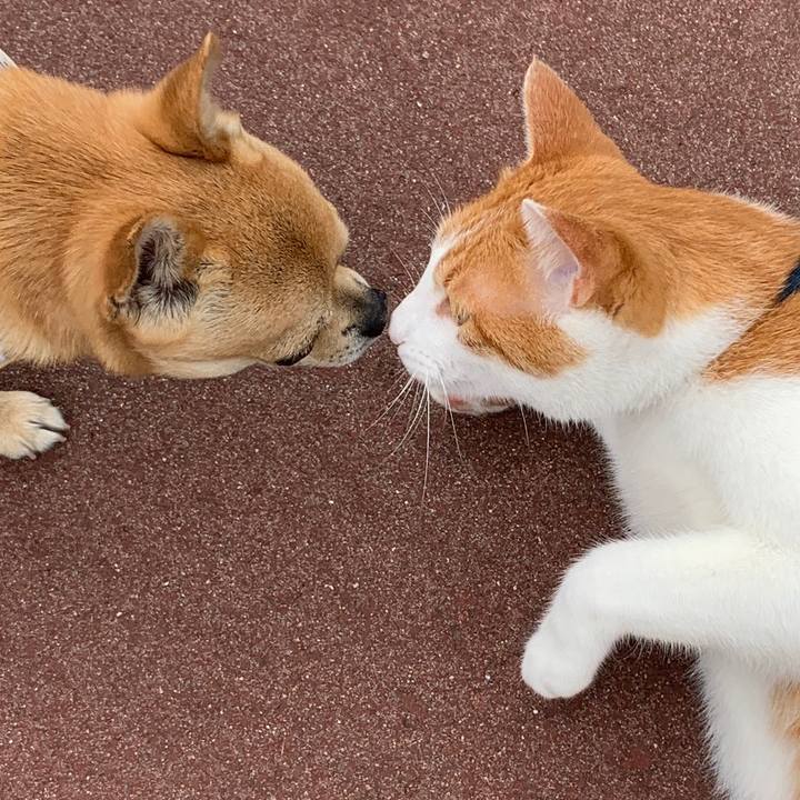 140c3d64 4dd8 408c 8236 418ab9dc31d5 1593587525847