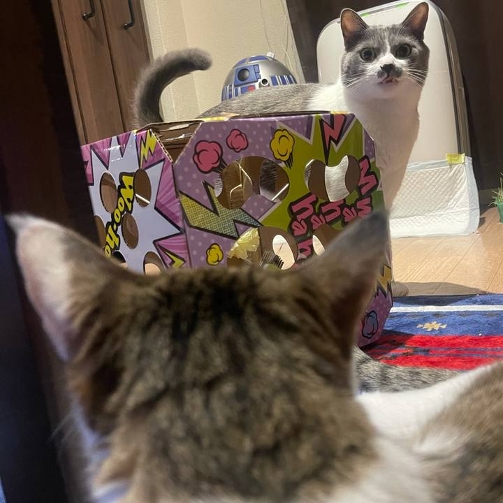 140c504d edec 42d9 bb9f e9fa2fa321be 1630411024527