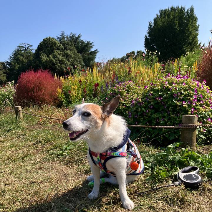 140c5597 3eee 49ea a567 c4b84aa9006b 1728863869264