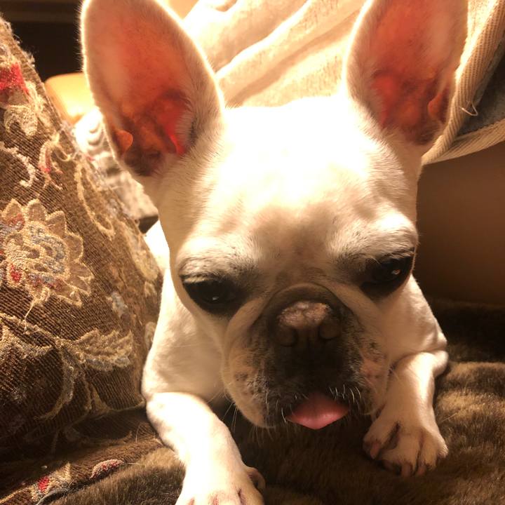 140c6f09 efab 4185 8e02 9a1b2d45ceb7 1605607126427