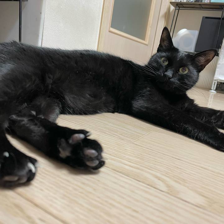 140c6f12 c0f3 4475 8d80 5cea7d648ca7 1642421450606