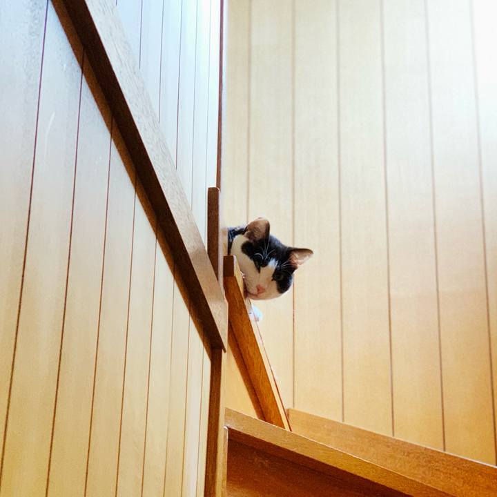 140c6fb1 6320 4c92 a4ed 5ee7f741e609 1596159727971