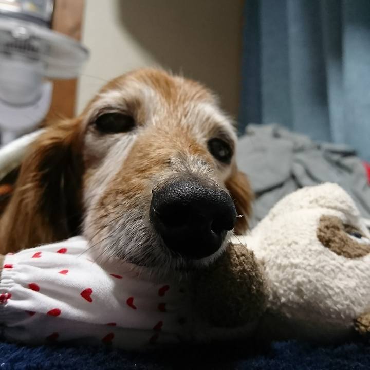 140c7264 82a5 4744 af76 9e9d6d50a32d 1519342963960