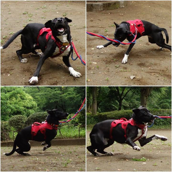 140cfac2 248b 4fed 8545 a098a36b0266 1590886374874