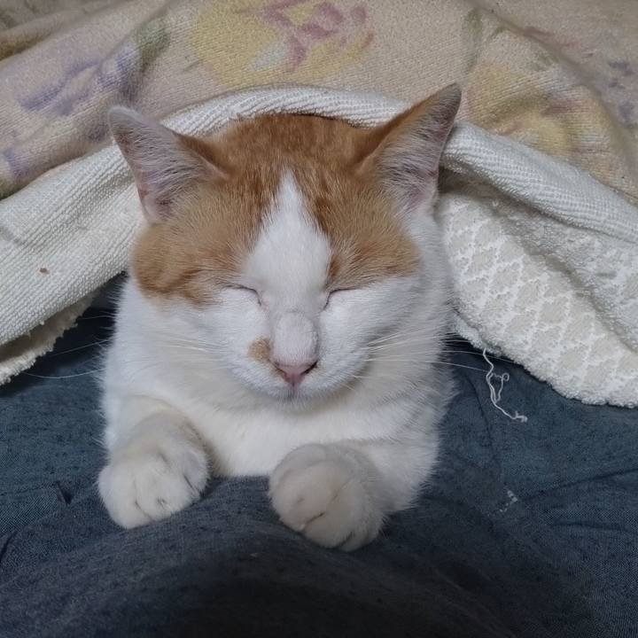 140d8a9a c629 4e0c a744 dc4cf46596bd 1744026985911