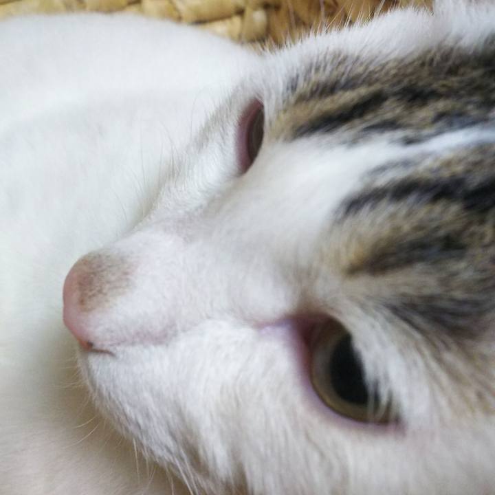 140dde55 3574 4237 93be a7aa354cfb66 1572690997698