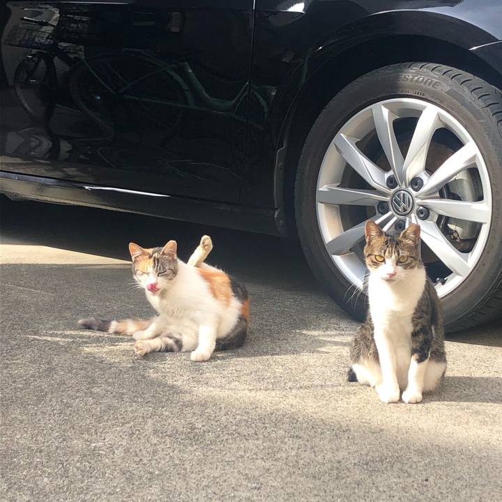 140e1a98 0dd3 4716 b783 4ed0e5fc45ab 1568466954287