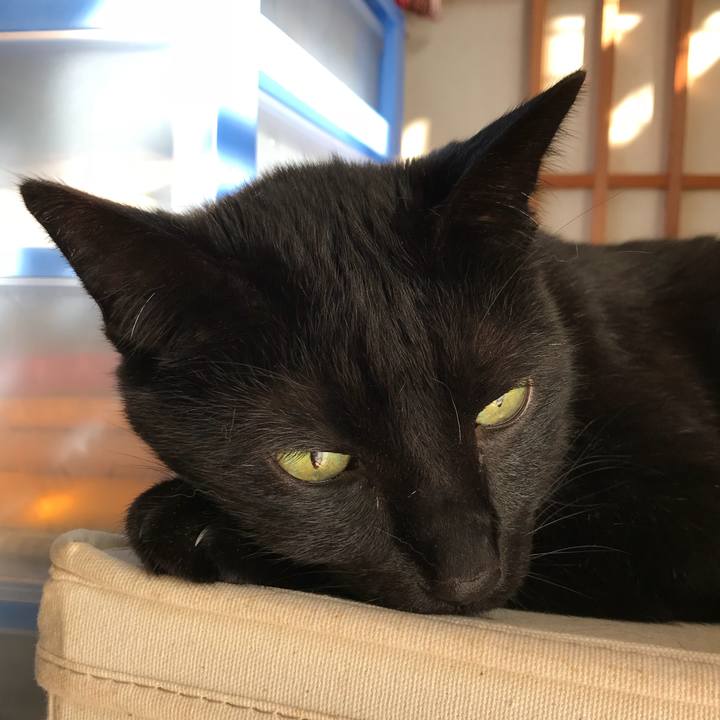 140e36e2 9bb2 466f 9873 38db2326e7f6 1522373517433