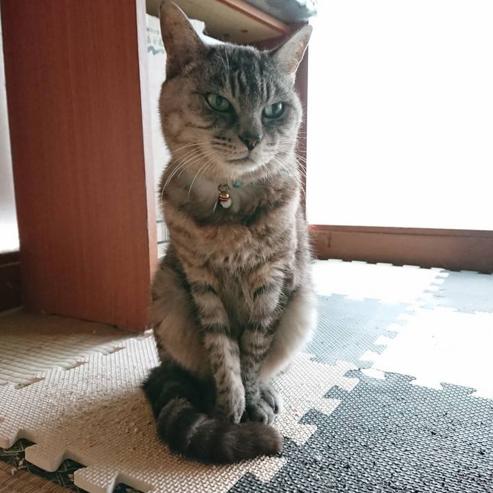 140e3d75 e9a4 49d5 bfb3 e3eb5de0c8c5 1569633695047