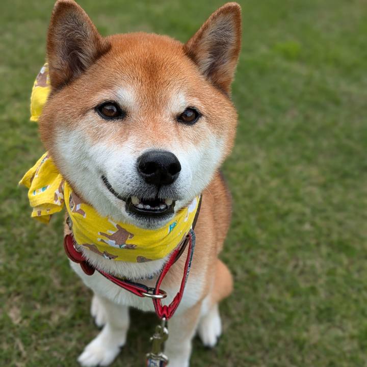 140e6f7e b9d7 4b29 aaf9 a75ee6b4b459 1719064772332