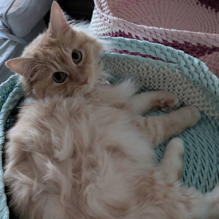 140eb65d 4d80 4c7a 9f8b 4afdd5ce99e3 1750758716378