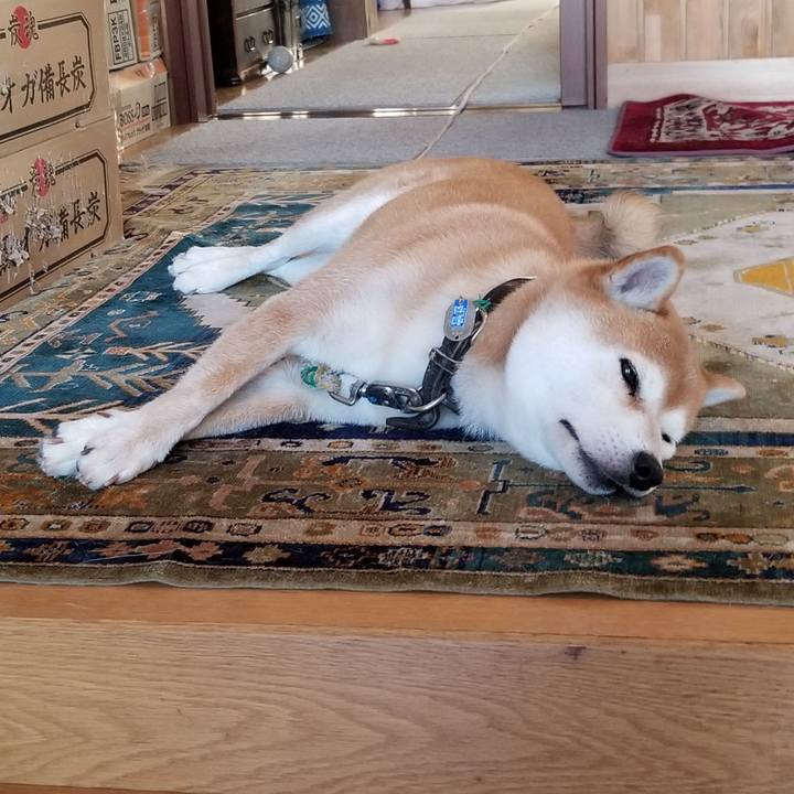 140ec14f ce1c 4eae aefc cfde42d90434 1533005228373