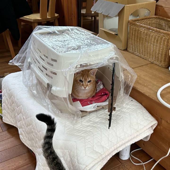 140ed15f e7ee 447d b7d0 5f98fb61cabb 1677676240602