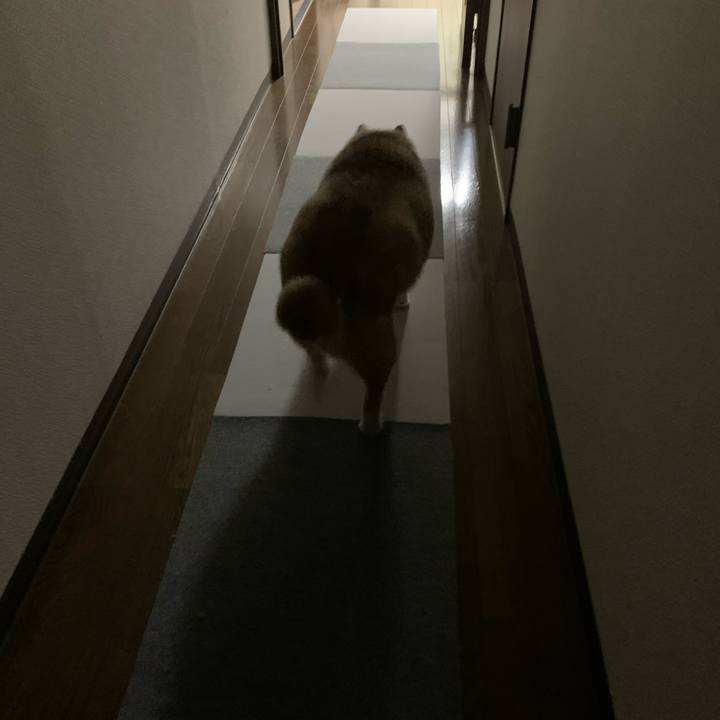 140f4547 119a 4a33 8b53 f64735b123ed 1653999084292