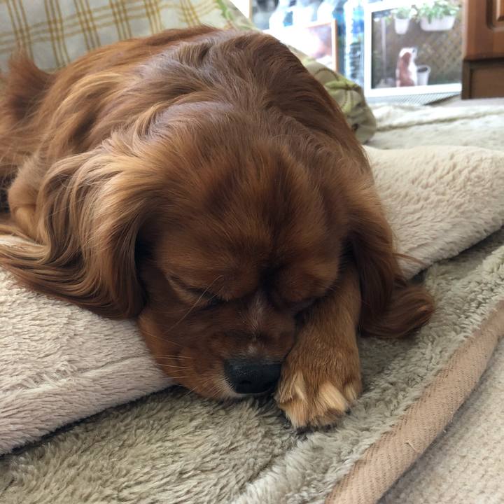 140f63e1 f670 4612 9f11 73d1cce4a427 1524977277390