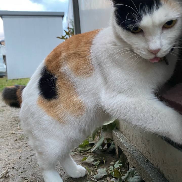 140fc701 cf27 400a 9c25 ee09f7404739 1636755236724