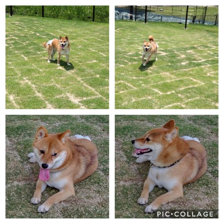 140fe806 7bd2 4fad 9384 4d334d7aaab4 1653456627665