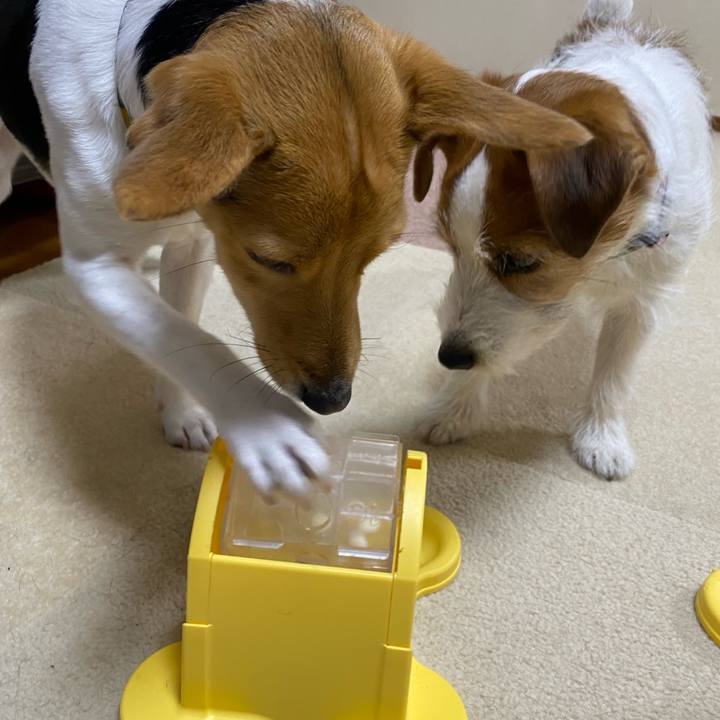 141006da 2d87 4410 b44d 6a7246e8c0b2 1771764308960