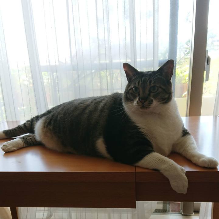 141007b1 bce5 415c 953f a7adb4b352ba 1558746155172