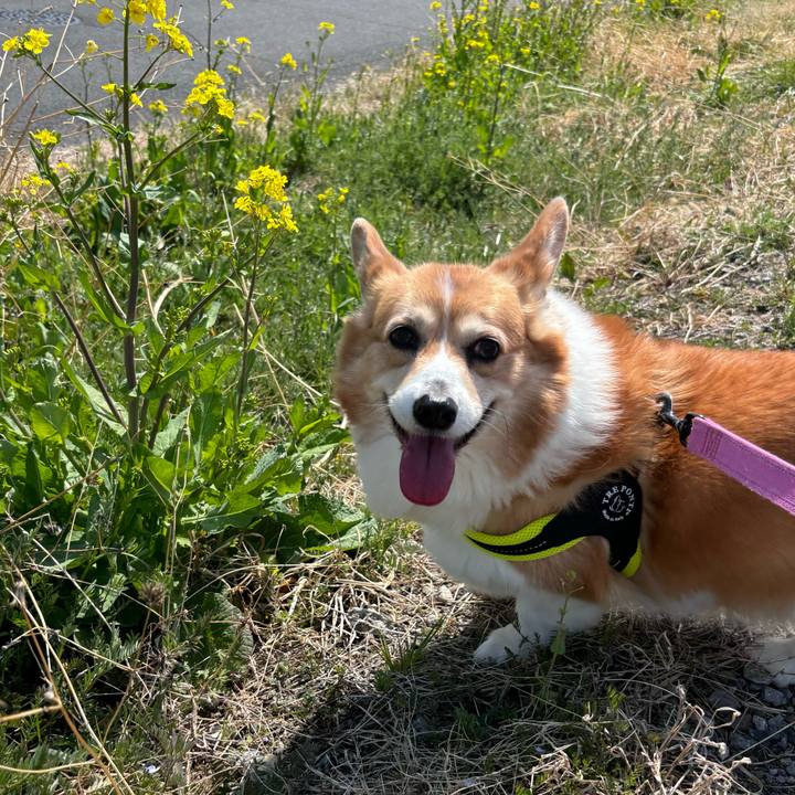 14106204 9854 48a4 bbad 1ea052b0e51f 1742614245871