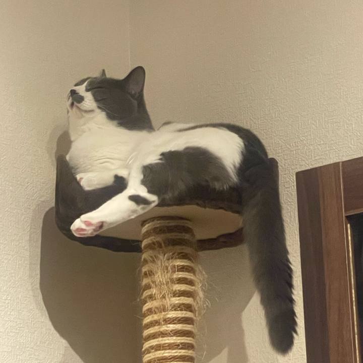 141081fe f497 4ed3 b972 f6b6e133f83b 1725897731345