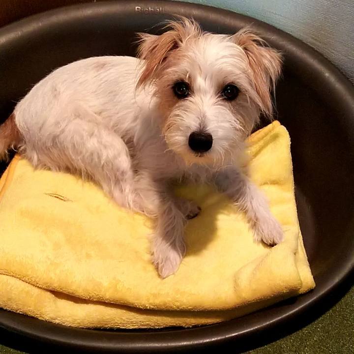 14108af2 015c 475d 8c19 b09d2375ad0f 1536015222170