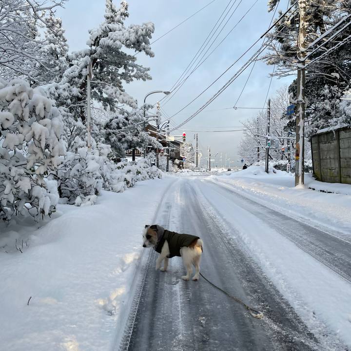 1410a249 e09b 4d2f 8007 9fd10de269fb 1610925812226