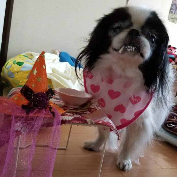 1410c4a3 ef14 4167 8131 266244cf0864 1509403852906