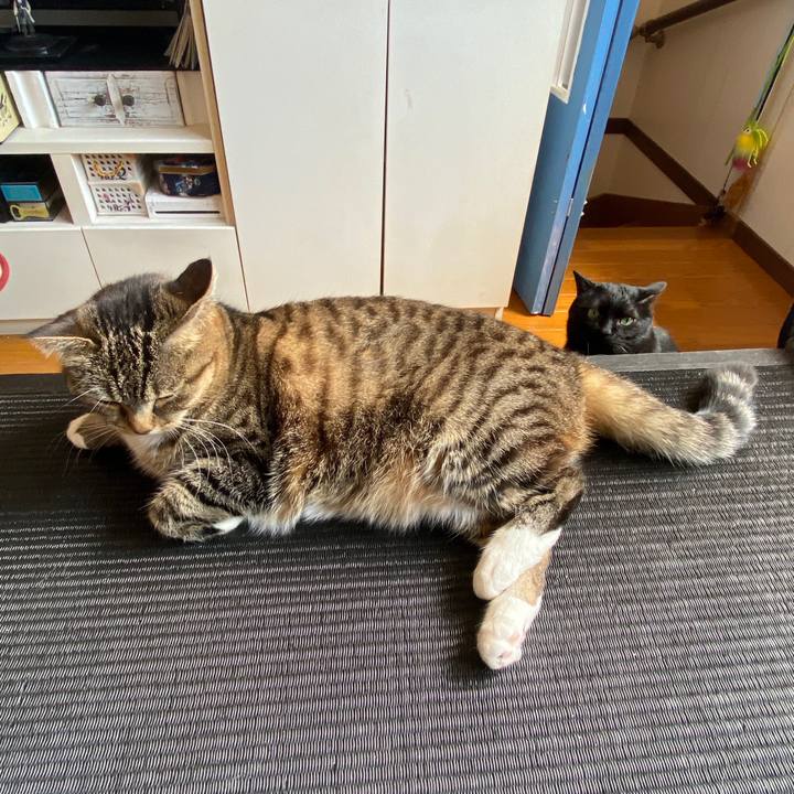 1410e07f 737a 4a4b 936f 8d02172e0f04 1587698525710