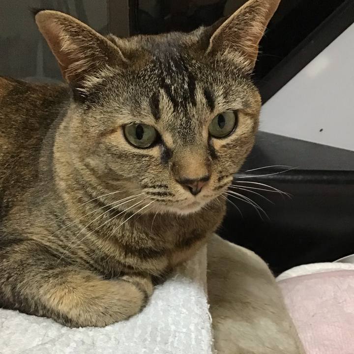 1410e86a 1656 4175 825a 75007437363f 1685102668126