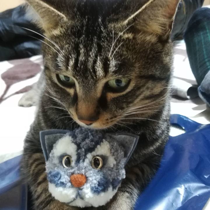 1410eccc c6ec 4f51 811f ed9a3f3ced29 1513768449571