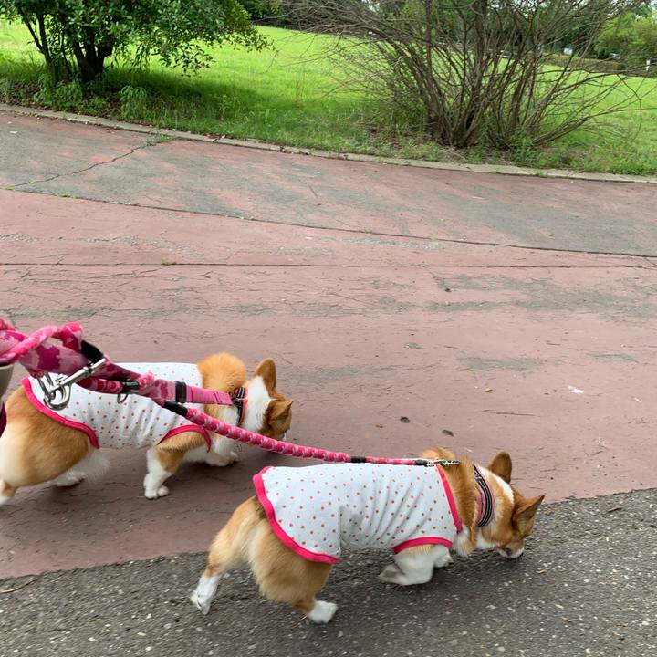 14110163 9e20 4799 af6a 5738a9846baf 1592899427106