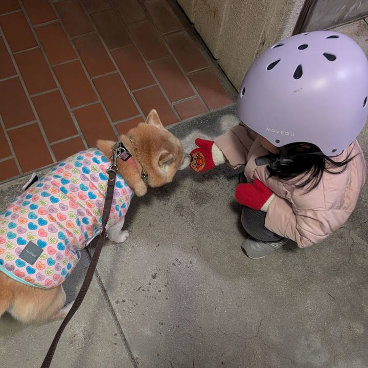 141143f0 d91f 4423 b94d 7a7f69457490 1765197784523