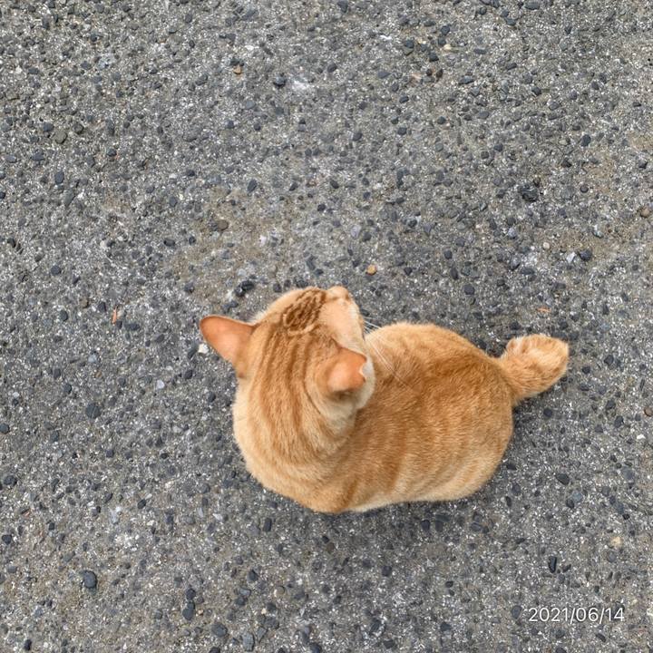 14115469 af64 48ce b1ed 17064fda28e5 1623629281663