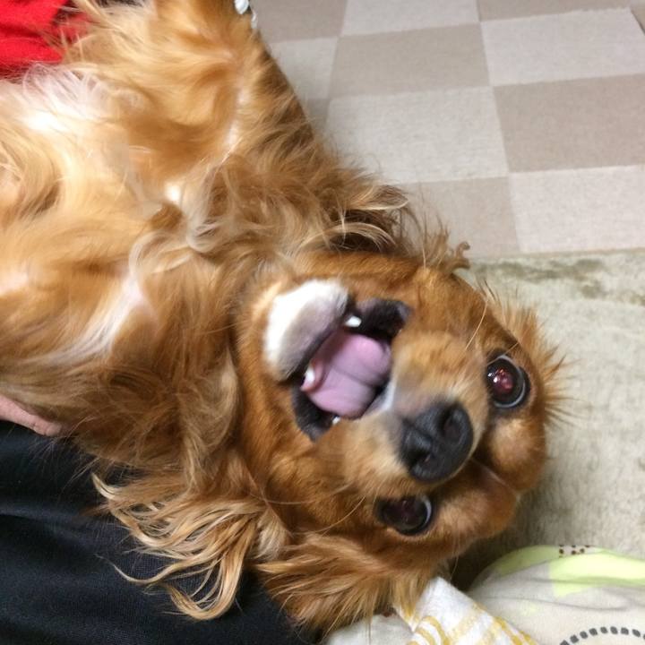 14116af2 4a4e 4c03 b6c1 b156b20ff739 1520031084238