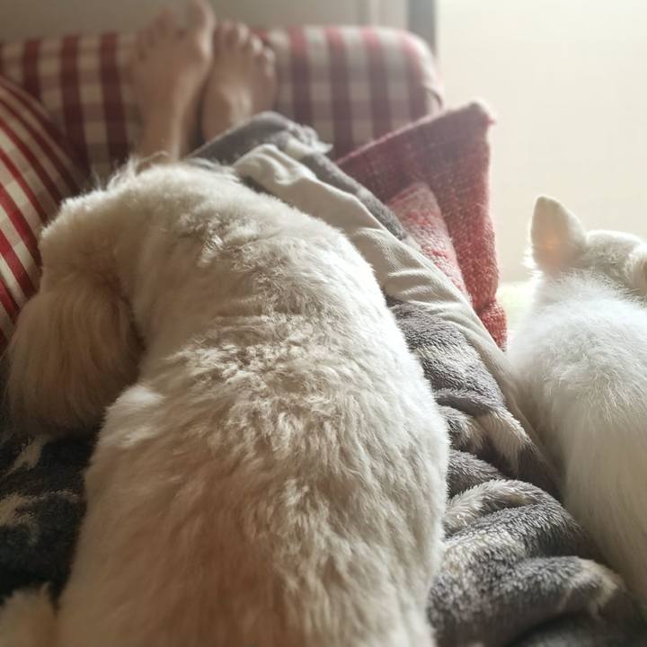 14116d2c d9a7 4e30 a465 25e03546fa29 1620453336150