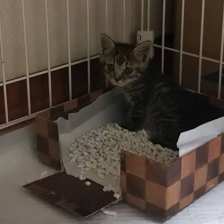 1411b5a4 797d 45ff b87d 2972c9a1bbbe 1632138674572