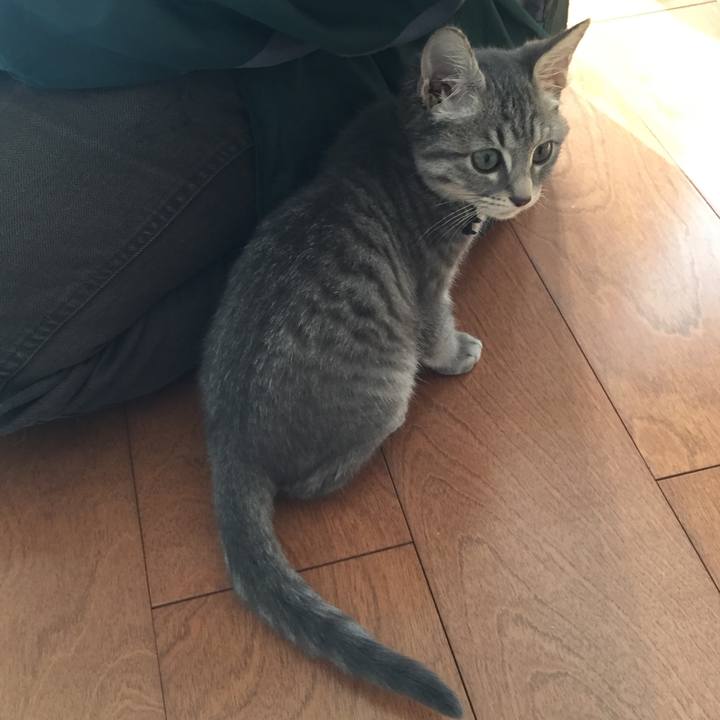 1411b827 f92c 41d2 89b8 91ad60337643 1576466597245