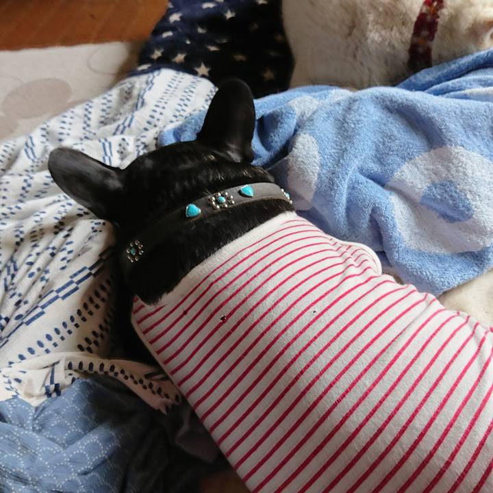 1411c156 546e 448c 8b9e 5670c199d077 1616632811674