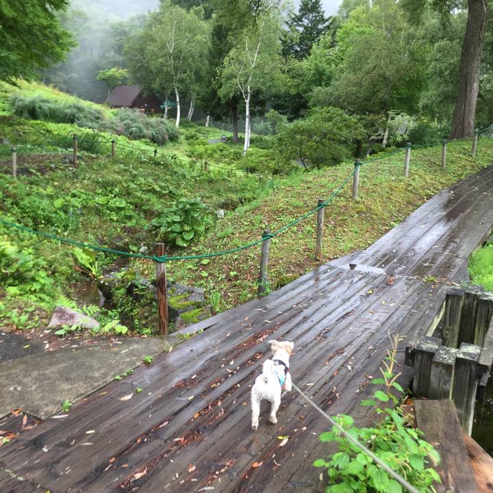 1411c2c7 16f5 4b1a b064 28ba6a4b76fc 1535764272503