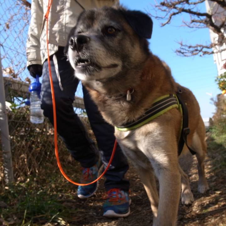 1411f09b 0a42 4f2f 92ad d701e3bf19a4 1584232367095