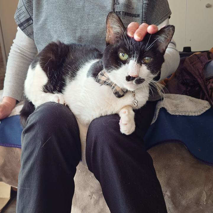 14121f82 634b 4dd7 8bb2 61a6cc1f5d1c 1768378197644