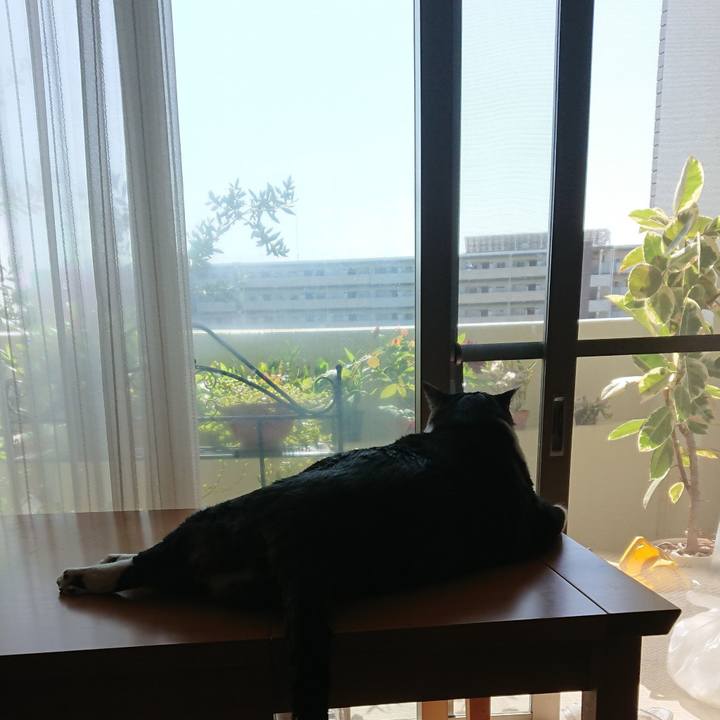 14123014 76a7 4e03 a393 681f41d46e2f 1525055405617