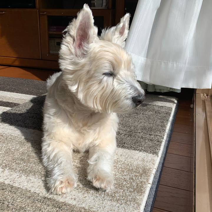 14124b2f bf57 4cbb a0cc 5eef9cb0efe5 1645442520585