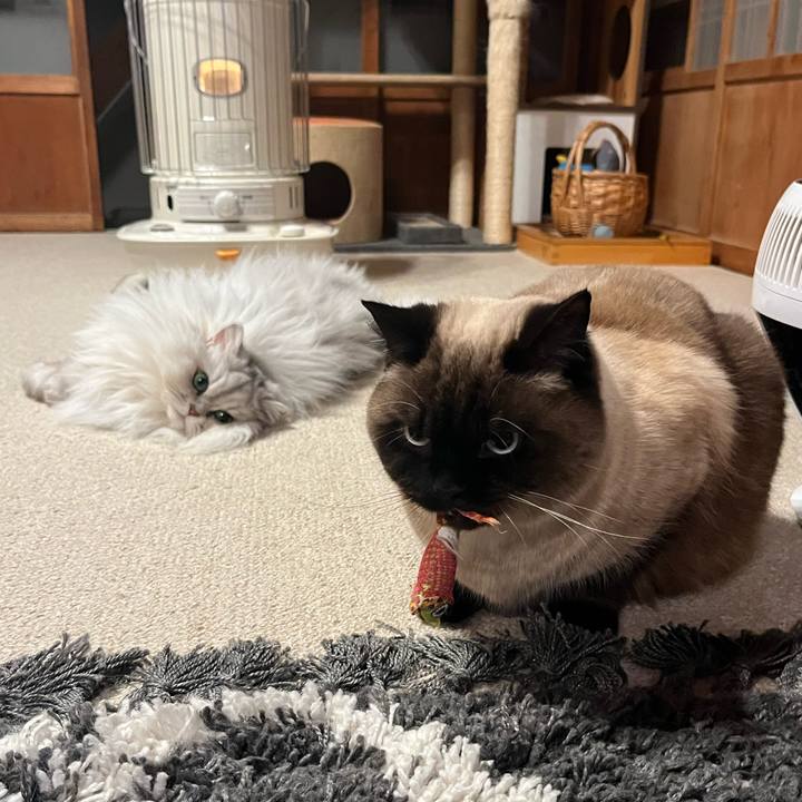 14127b24 c45e 4963 bf02 b2502efa180f 1646529091785