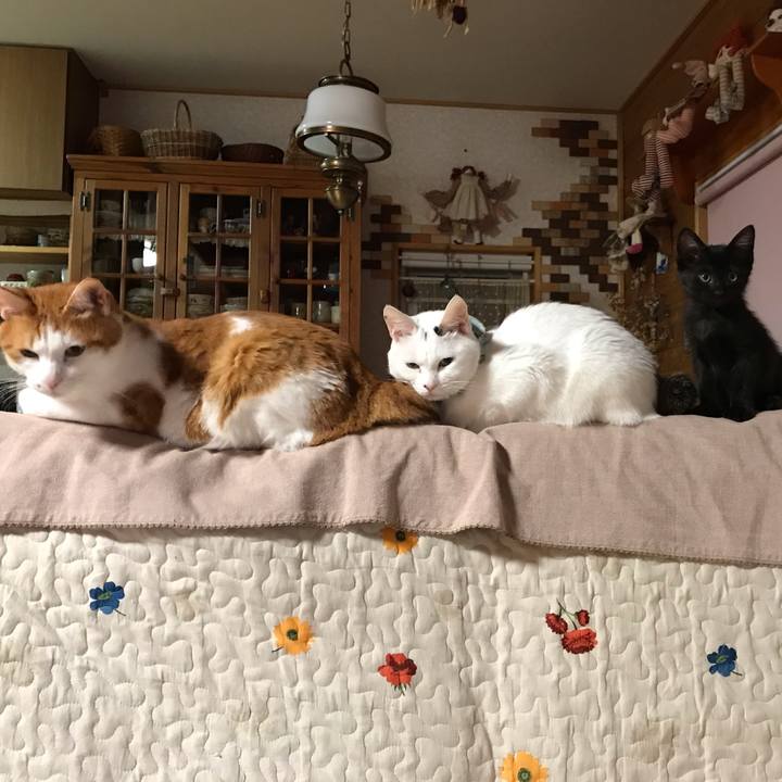 14129fe4 a764 4dfa b6e8 1b6b14c62cc3 1562969008994