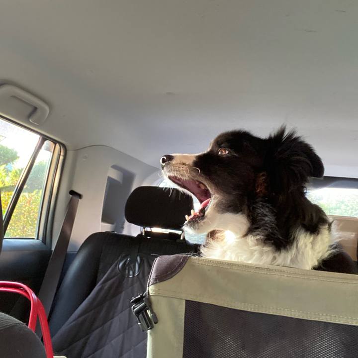 1412ba08 77d1 4716 b60f 4b005a357583 1662847686387