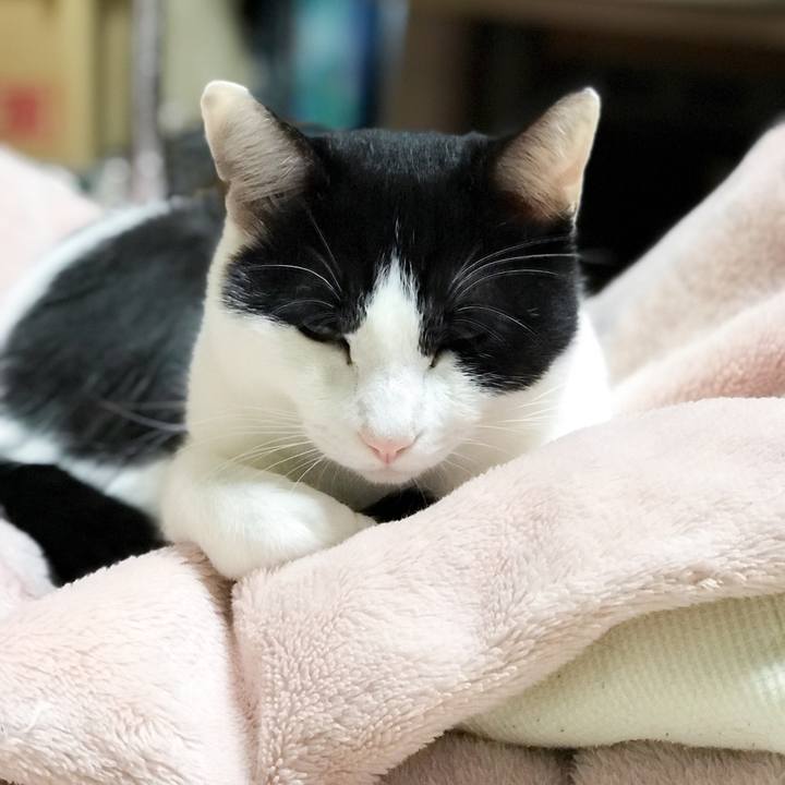 1412f353 b21a 4a58 8634 ca51b75c4599 1510968906254